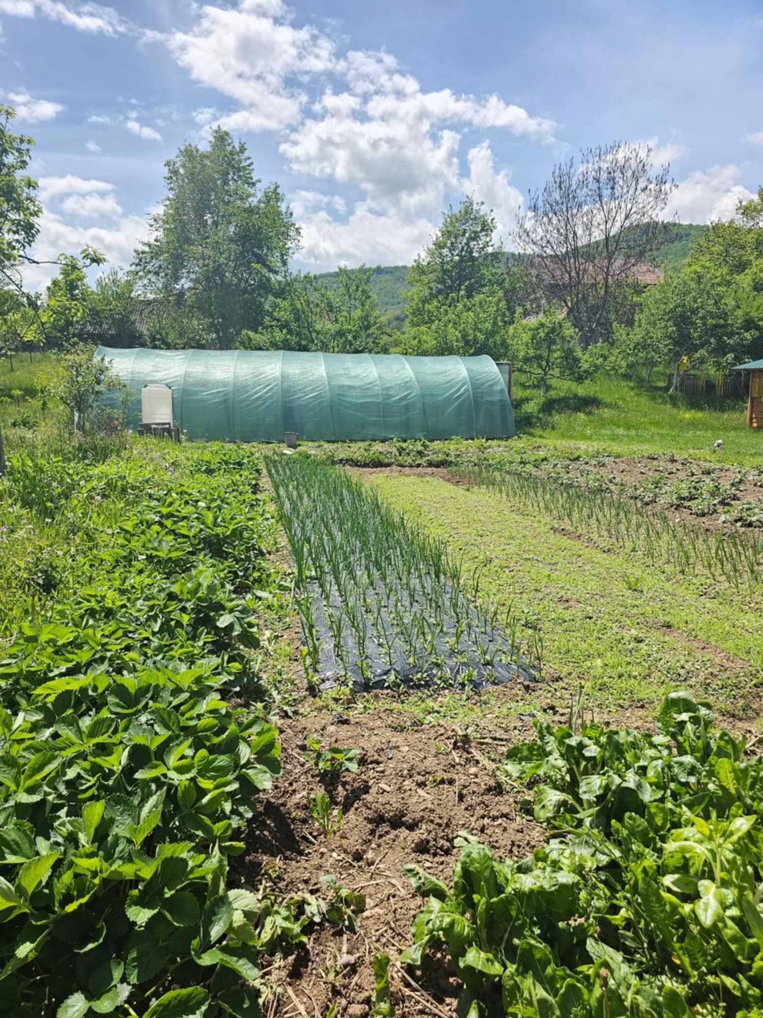 Konaci Oceva Zemlja Bungalovi Konaci Oceva Zemlja Vikendica Mojkovac Εξωτερικό φωτογραφία