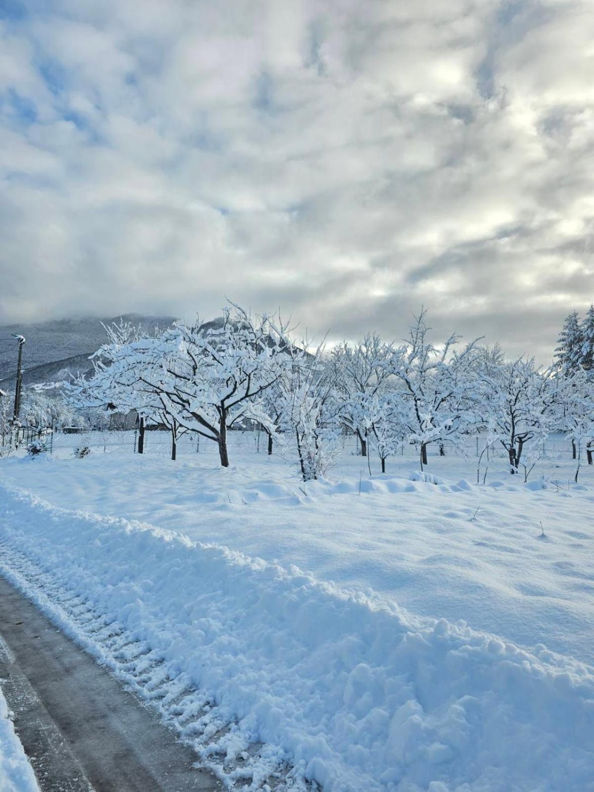 Konaci Oceva Zemlja Bungalovi Konaci Oceva Zemlja Vikendica Mojkovac Εξωτερικό φωτογραφία